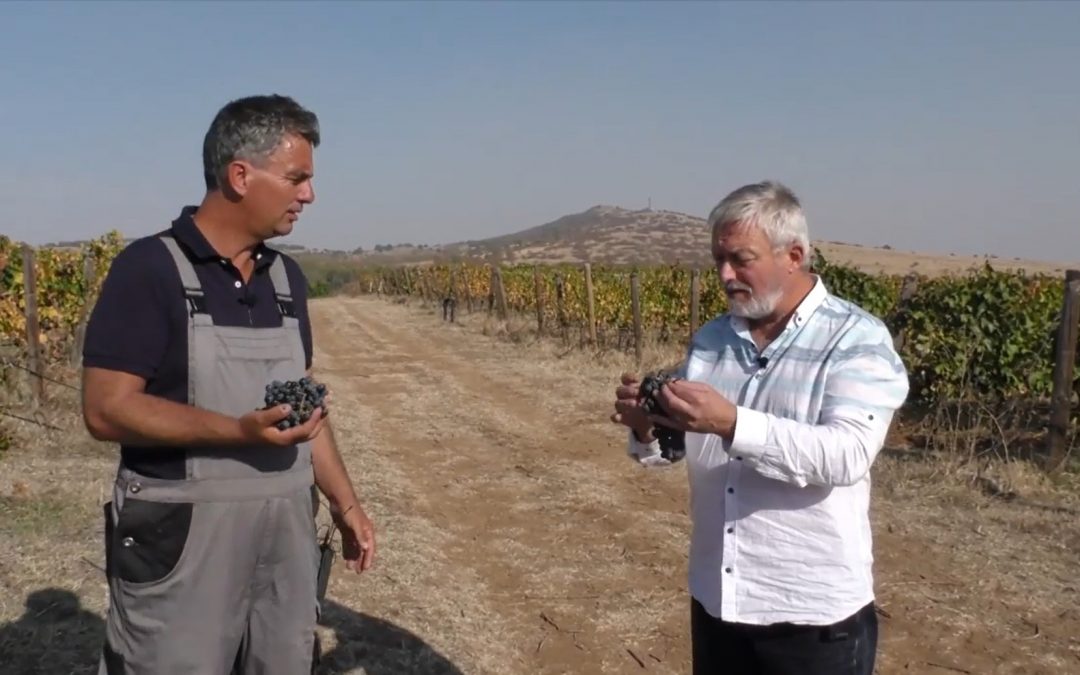 МАВРУДЪТ от село Черногорово