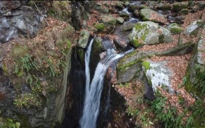 Незаконно сметище до село Костенец на фона на прекрасната ни природа. Докога ще правим така ?