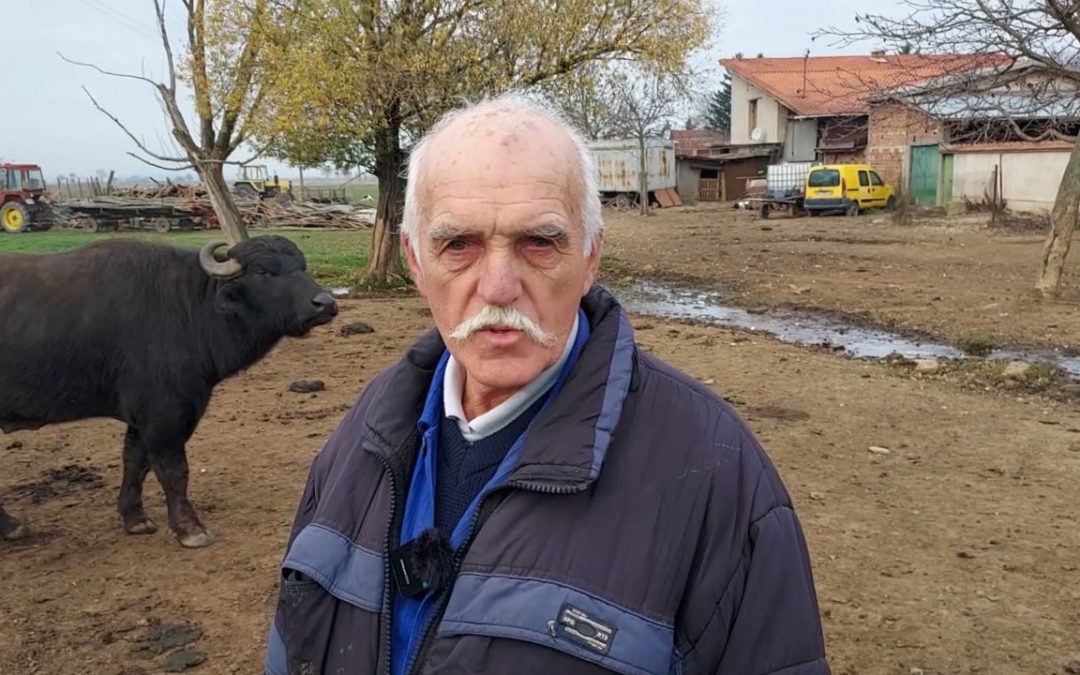 Не му е лесно на Ангел да се раздели с част от животните, които обича и които му дават хляба.