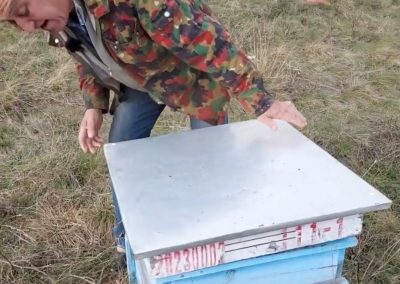 Данчо Духалов разказва как е започнал с пчелите, по колко продава меда и колко трябва да струва.