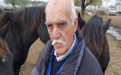 Една история за бивола на Ангел, който усеща крадеца. А освен биволи, Ангел гледа и птици. Вижте ги.