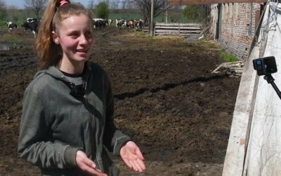 Пламен е продал овцете си, а наесен е ред на кравите. Ситуацията е критична за всички животновъди.