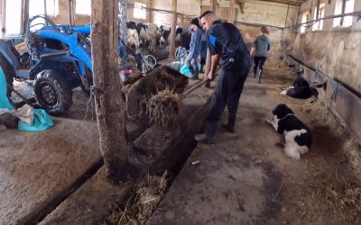 За животните, животновъдите и управляващите. Пламен има да каже нещо на управляващите. Чуйте го !