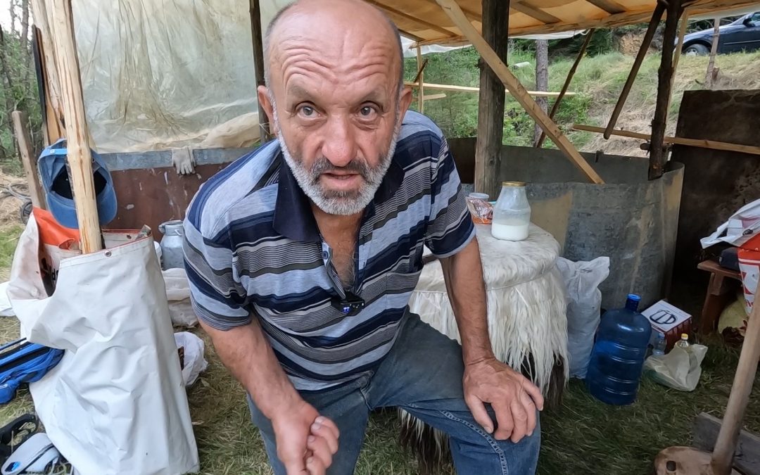 Родопа, Пашата и вечното българско бито сирене. Първо масло, после матан и Пашата за кооперирането.