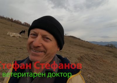 Месодайното белгийско синьо на Стефан и телетата Вагу. Една пържола Кобе от Вагу струва до 150 лева.