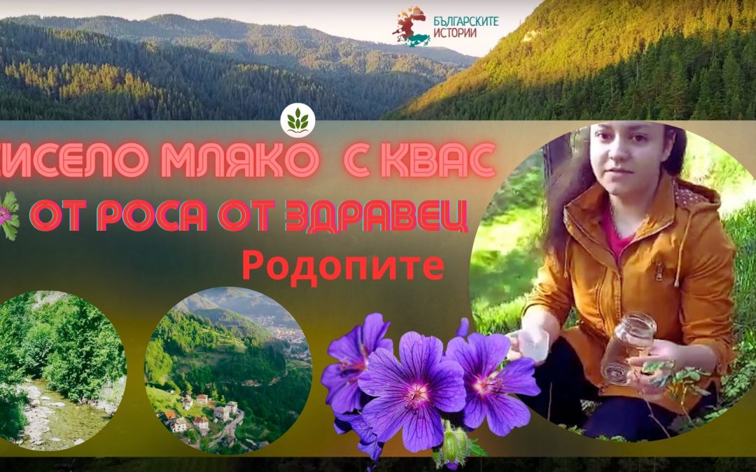 Чували ли сте за подквасване на кисело мляко с роса ? Това нещо става само в Родопите. Вижте къде ?
