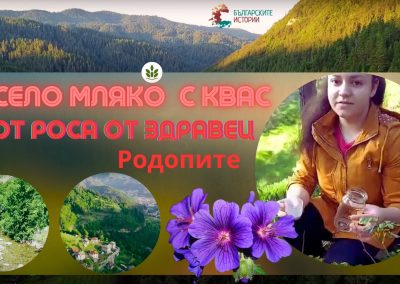 Чували ли сте за подквасване на кисело мляко с роса ? Това нещо става само в Родопите. Вижте къде ?