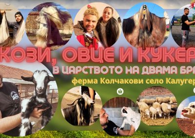 Двама братя висшисти са фермери и отглеждат Калоферски кози,Ил дьо Франс и правят кукерски костюми