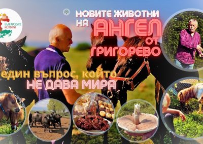 Ангел от Григорево и новите му животни. Защо не е вложил досега 3 милиона лева като Мартин Седлачко