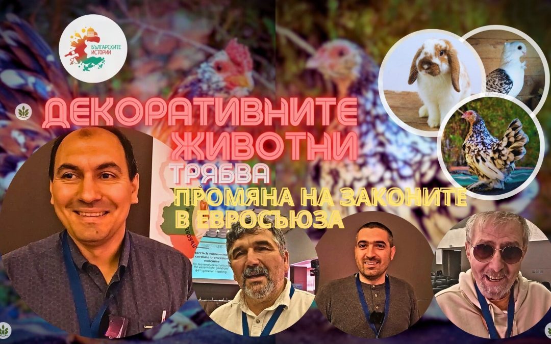Декоративни животни в България и наши породи на евроконгреса в София. Проблемите пред развъдчиците
