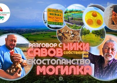 Истинска храна, опитана от мен.Вижте как.Кокошки, които снасят истински яйца.Екостопанство Могилка